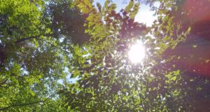 Storing Hydrogen at Scale: The Missing Link in the Hydrogen Supply Chain