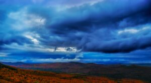 Demand Decides: Rare Earths and the Architecture of the Energy Transition
