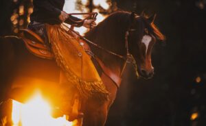 The Fire Horse Market